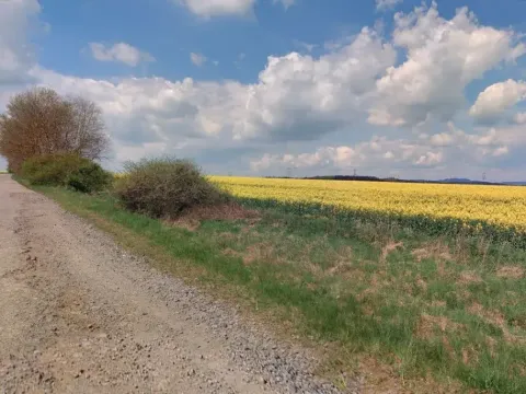 Dražba pozemku, Cebiv, 6401 m2