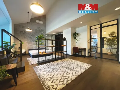 Pronájem bytu 2+kk, Praha - Nové Město, Revoluční, 92 m2