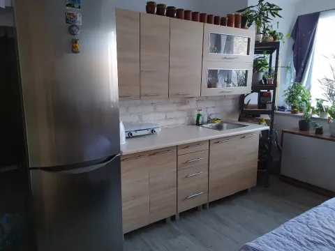 Pronájem bytu 1+kk, Holovousy, 20 m2