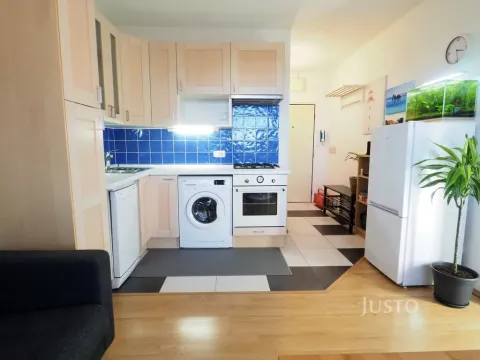 Pronájem bytu 1+1, Písek, nábřeží 1. máje, 36 m2