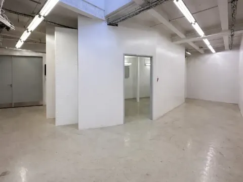 Pronájem skladu, Praha - Nusle, Mojmírova, 165 m2