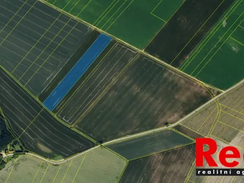 Prodej pole, Blížkovice, 23551 m2