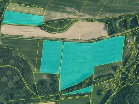 Prodej sadu/vinice, Chelčice, 88749 m2