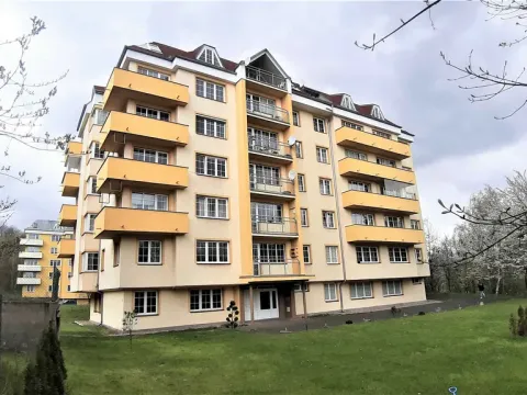 Pronájem bytu 1+1, Teplice - Nová Ves, Březová, 27 m2