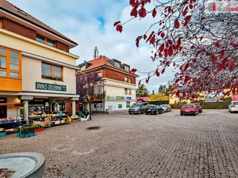 Pronájem bytu 1+kk, Dobřichovice, Palackého, 20 m2