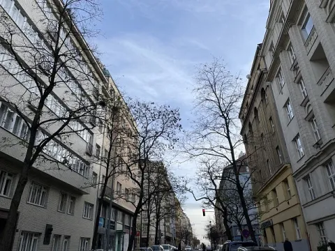 Prodej bytu 1+kk, Praha, Vinohradská, 72 m2