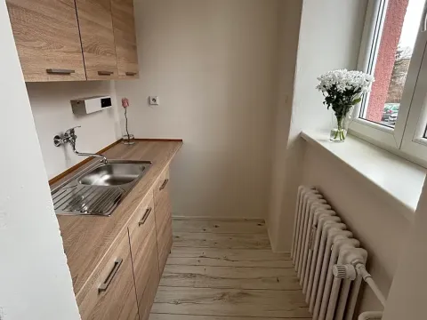 Pronájem bytu 1+kk, Frýdek-Místek, Bruzovská, 25 m2