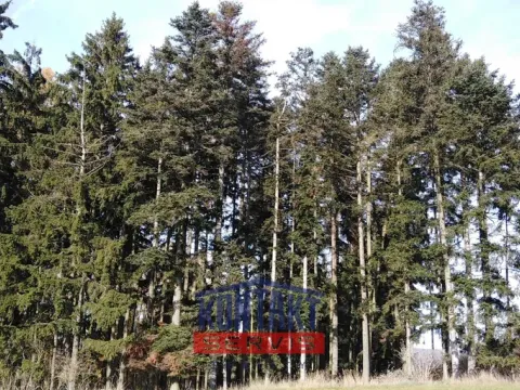 Prodej lesa, Letiny - Svárkov, 12818 m2