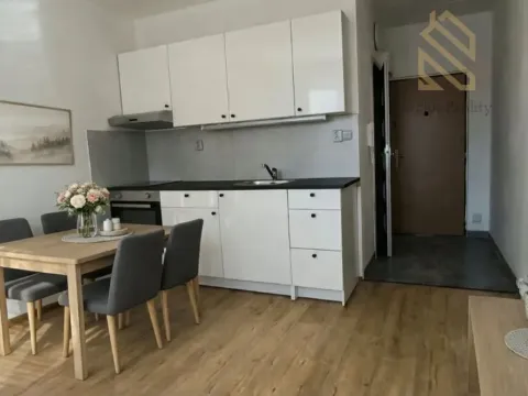 Pronájem bytu 1+1, Louny, Petra Obrovce, 35 m2