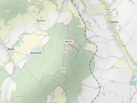 Dražba lesa, Nová Hradečná, 12014 m2