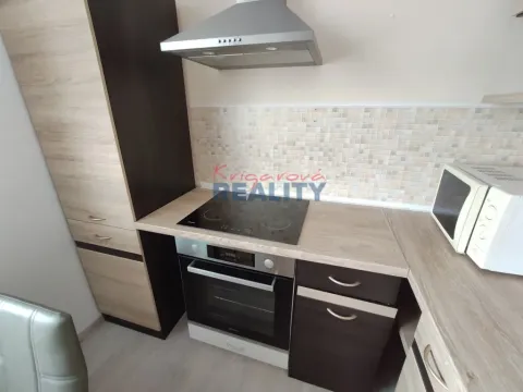 Pronájem bytu 1+1, České Budějovice - České Budějovice 2, Dubenská, 44 m2