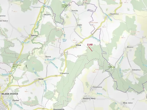Dražba lesa, Vilice, 1105 m2