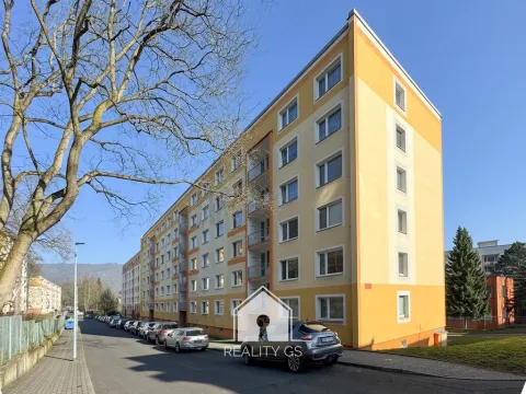 Prodej bytu 1+1, Ústí nad Labem, Mlýnská, 35 m2