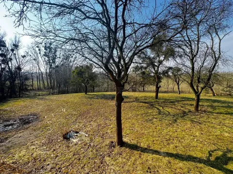 Prodej pozemku pro bydlení, Vítonice, 3362 m2