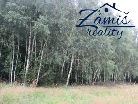 Prodej podílu lesa, Pohledy, 7200 m2