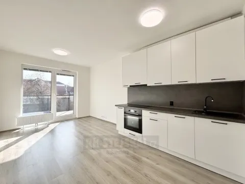 Pronájem bytu 1+kk, České Budějovice - České Budějovice 2, Na Zlaté stoce, 28 m2