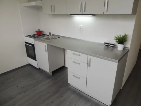 Pronájem bytu 1+1, Ostrava - Zábřeh, Výškovická, 36 m2