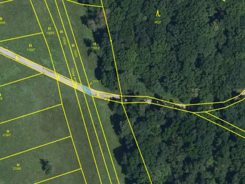 Prodej lesa, Břeclav - Charvátská Nová Ves, 58 m2