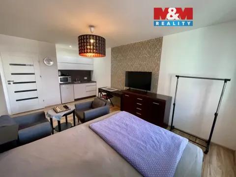 Pronájem bytu 1+kk, Ostrava - Moravská Ostrava, U Parku, 28 m2