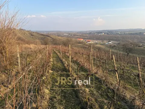 Prodej pozemku, Mutěnice, 2669 m2