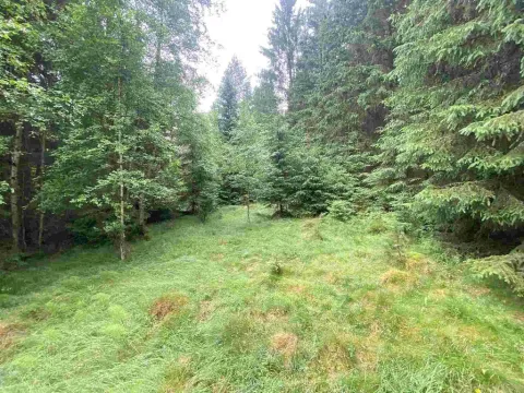 Prodej pole, Krásná, 10460 m2