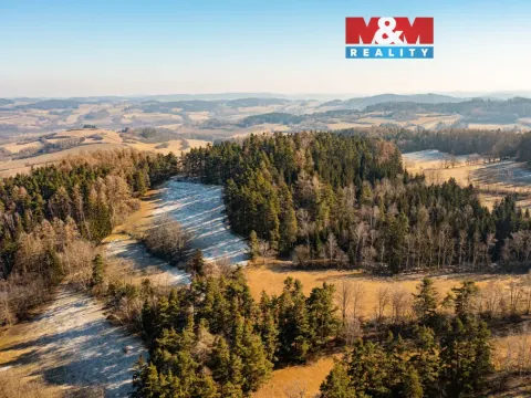 Prodej lesa, Nišovice, 12140 m2