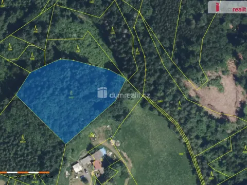 Prodej lesa, Semily - Bítouchov, 4773 m2