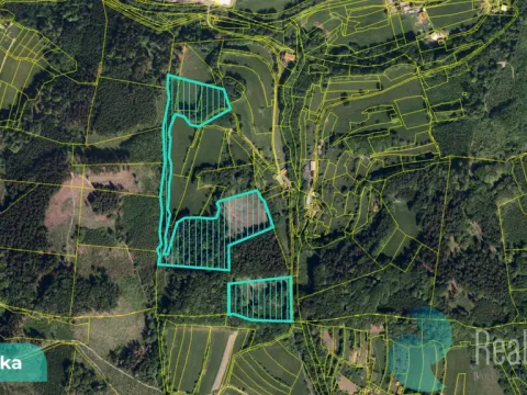 Prodej podílu 4/10 lesa, Bystřička, 16784 m2