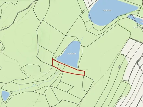 Prodej lesa, Nová Olešná, 9963 m2