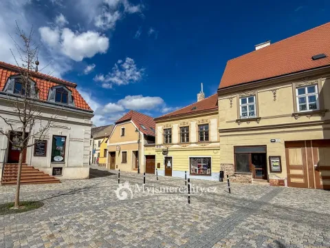 Prodej obchodního prostoru, Znojmo, Horní Česká, 300 m2