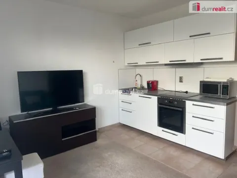 Pronájem bytu 1+kk, Praha - Dolní Počernice, Za luhem, 25 m2