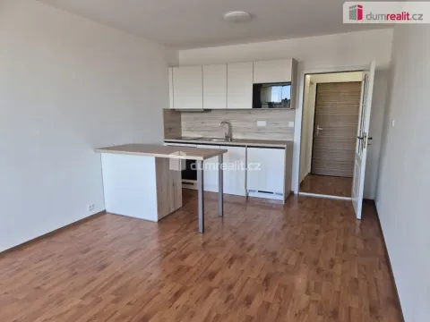 Pronájem bytu 1+kk, České Budějovice - České Budějovice 2, Fr. Ondříčka, 24 m2