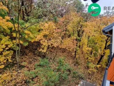 Pronájem bytu 2+kk, Praha - Michle, Pod Stárkou, 40 m2