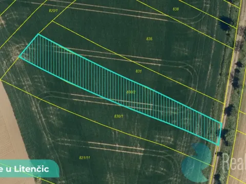 Prodej podílu 1/2 pole, Hoštice, 729 m2