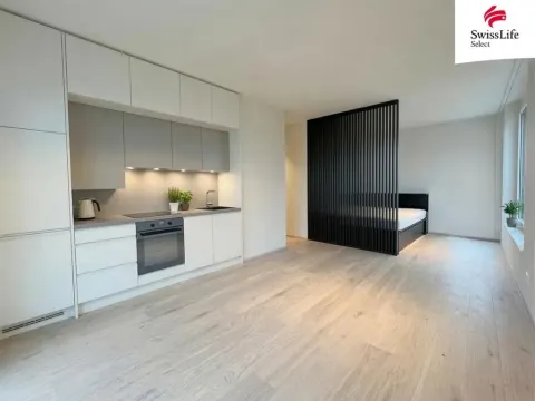 Pronájem bytu 1+kk, Plzeň, 41 m2