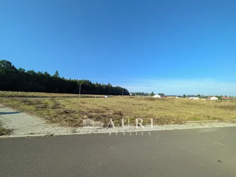 Prodej pozemku pro bydlení, Olešná, 1130 m2