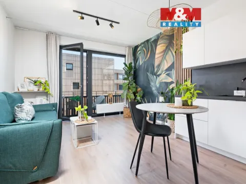 Pronájem bytu 1+kk, Plzeň, Kartónová, 29 m2