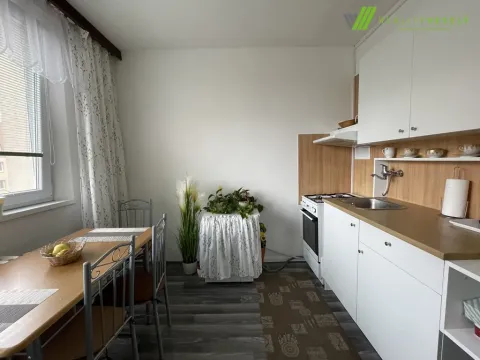 Pronájem bytu 1+1, Hodonín, Lesní, 37 m2