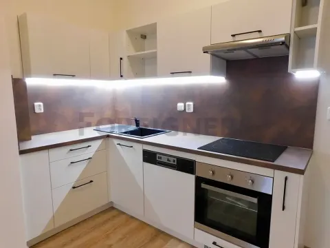 Pronájem bytu 2+kk, Plzeň, Říční, 47 m2