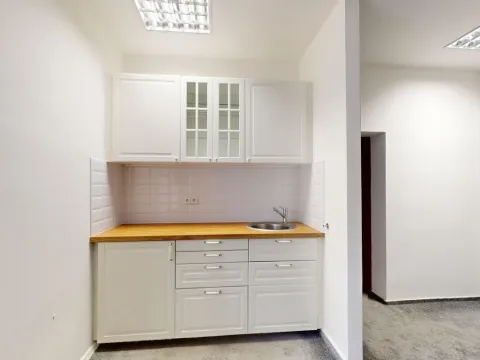 Pronájem obchodního prostoru, Plzeň, Na Roudné, 43 m2