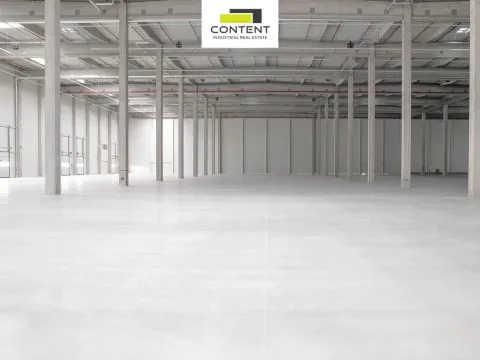 Pronájem výrobních prostor, Odrava - Obilná, 10000 m2