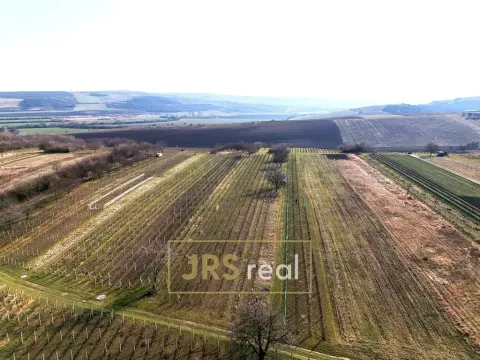 Prodej pozemku, Brumovice, 4065 m2