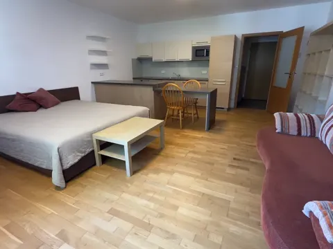 Pronájem bytu 1+kk, Brno, Vinohrady, 38 m2