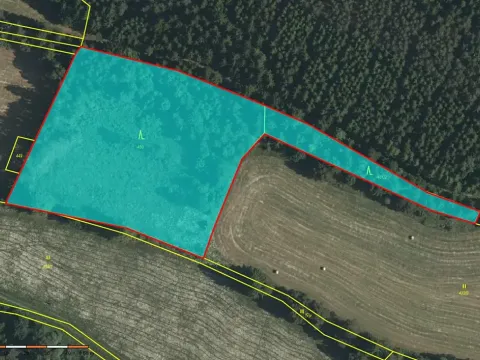 Prodej lesa, Strmilov, 8914 m2