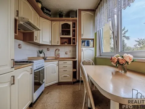 Prodej bytu 2+1, Ostrava - Hrabůvka, Plzeňská, 53 m2