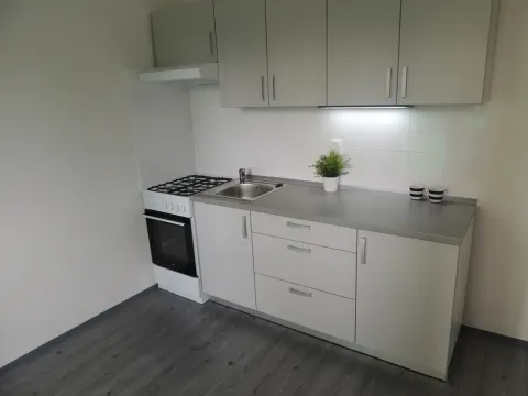 Pronájem bytu 1+1, Ostrava - Mariánské Hory, Gen. Hrušky, 38 m2