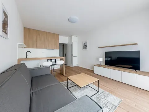 Pronájem bytu 1+kk, Praha - Karlín, Pernerova, 29 m2