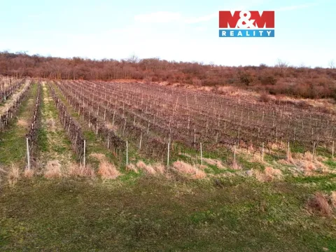 Prodej pole, Sedlec, 9215 m2