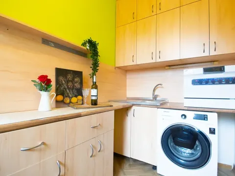 Pronájem bytu 1+1, Brno, Halasovo náměstí, 34 m2