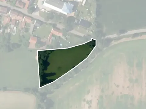 Prodej louky, Kněževes, Pražská, 4922 m2